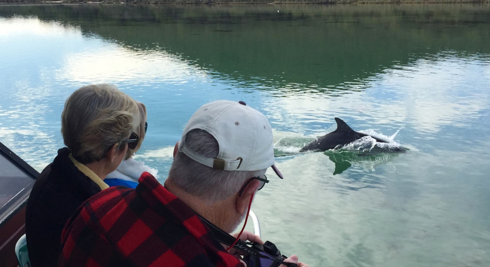WOW Wilderness - EcoCruise - image 11